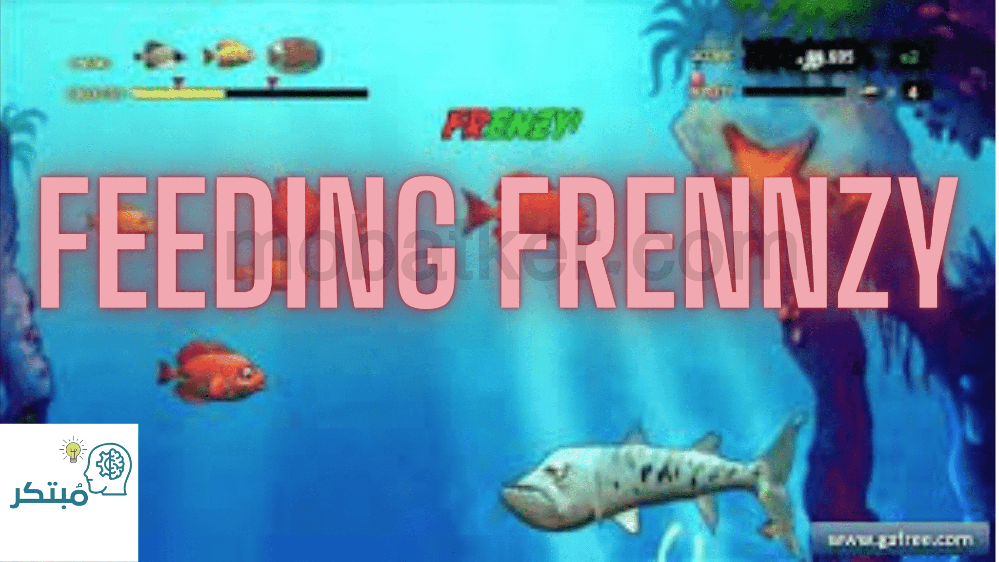 لعبة السمك Feeding Frenzy