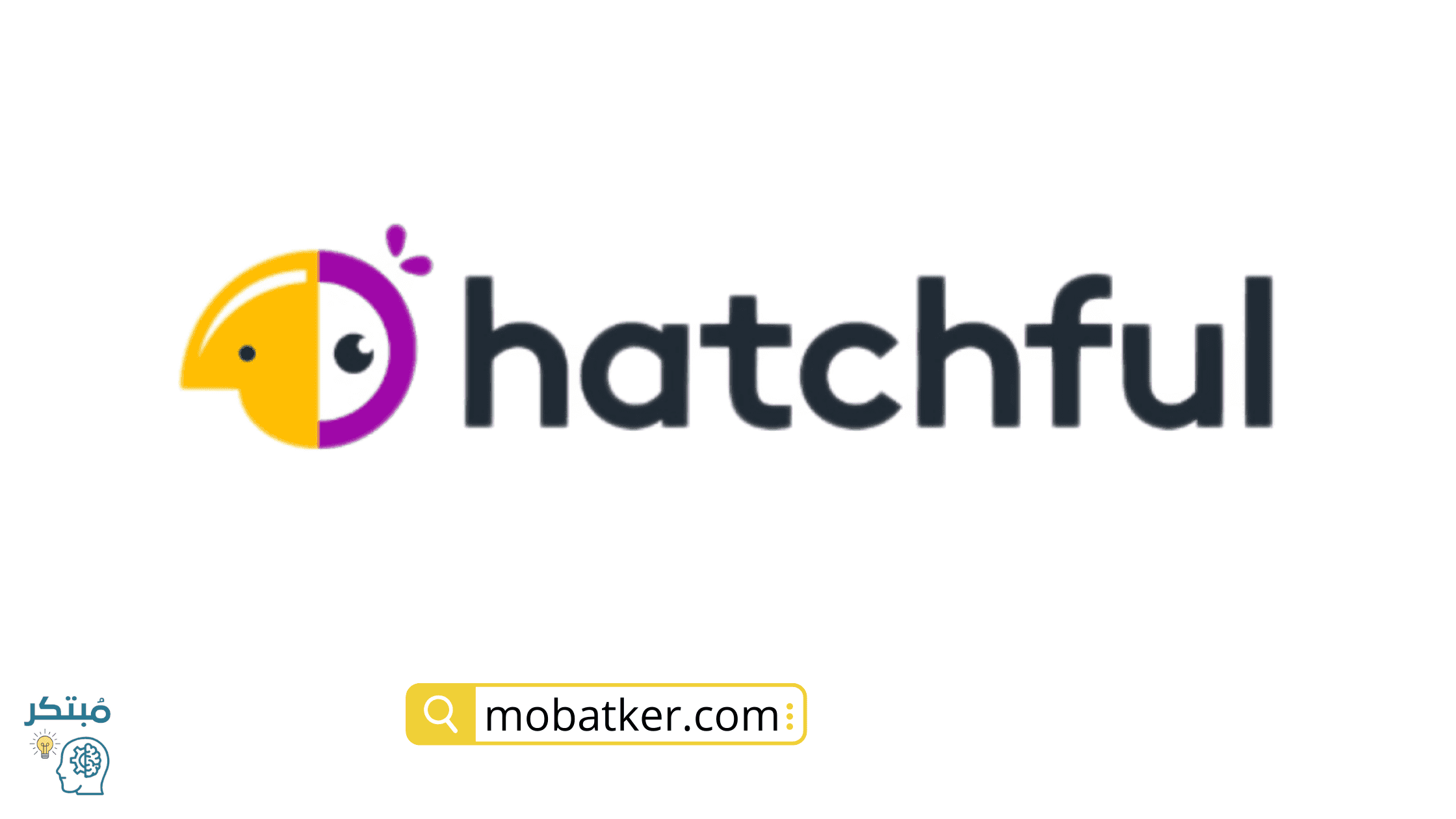 Hatchful